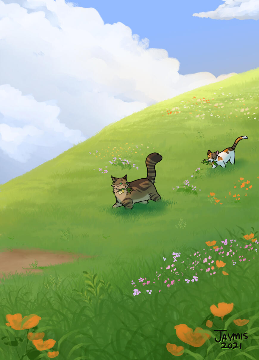 Example of scene. Two cats walk down a grassy hill, carrying plants in their mouths.